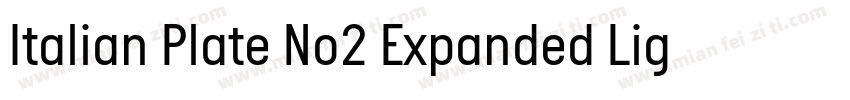 Italian Plate No2 Expanded Light字体转换
